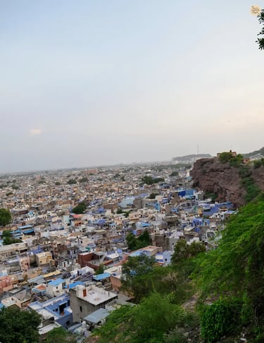Aerial view of Jodhpur’s blue houses captured from Pachetia Hill, Rajasthan.
