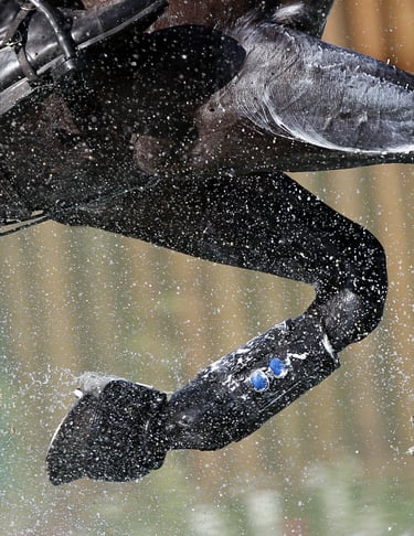 horse riding through cross-country water