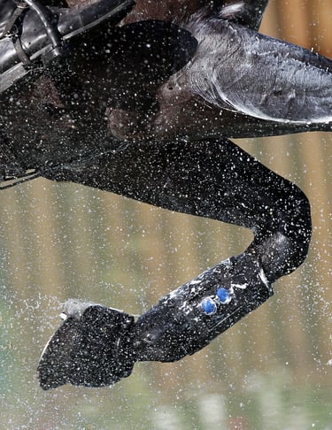horse riding through cross-country water