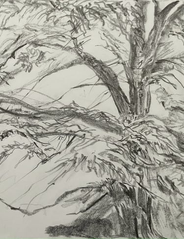 Dumfries House Residency - through the trees