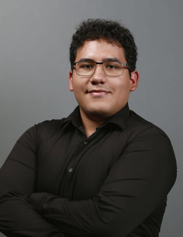 CEO o DIrector General de Stervnova