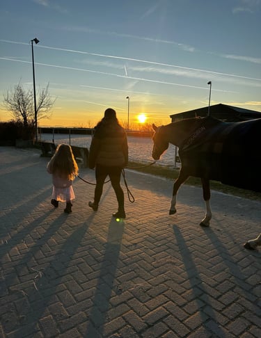 Ponytante mit ihrem Pferd im Sonnenuntergang