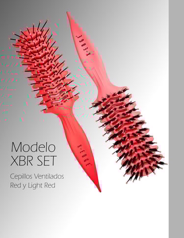 Set de dos Cepillos ventilados Red