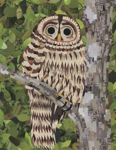 Mixed media paper collage of a barred owl perched on a tree branch with green leaves.