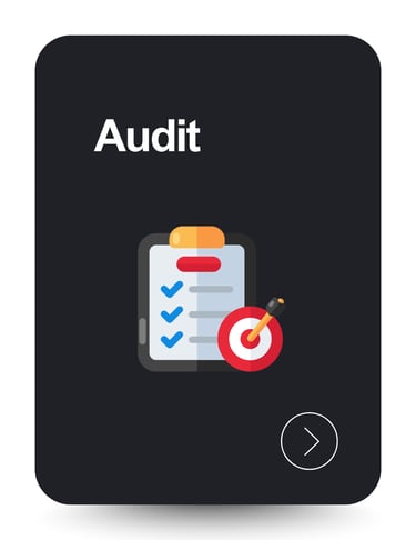 Audit