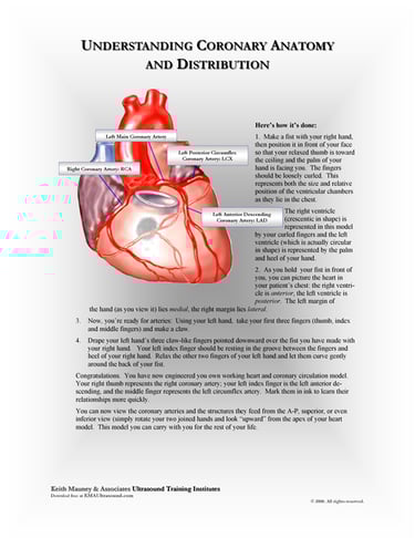The heart- how to visualize the coronary artery distribution.