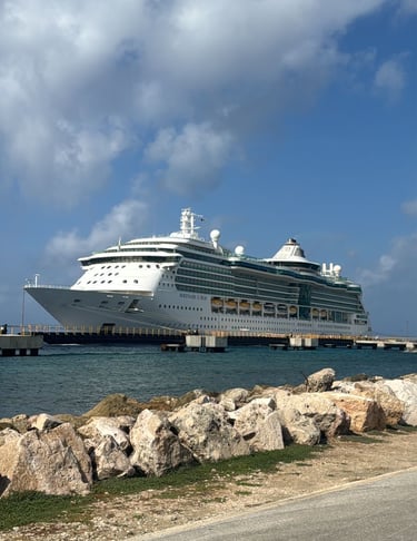 Travelers disembarking cruise ship – client story