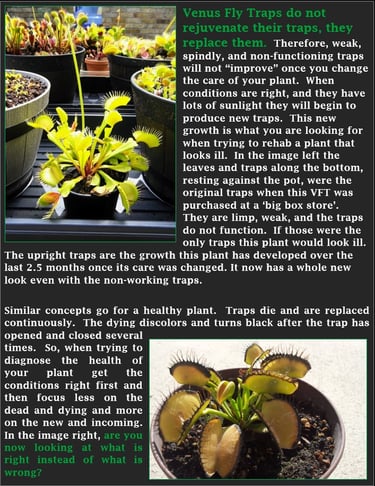 VFT's Replace their traps, they don't rejuvenate them.