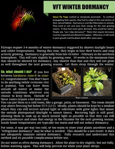 Winter Dormancy and what to do.