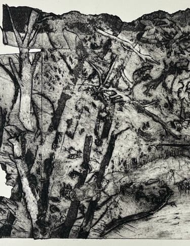 Google view - collagraph detail