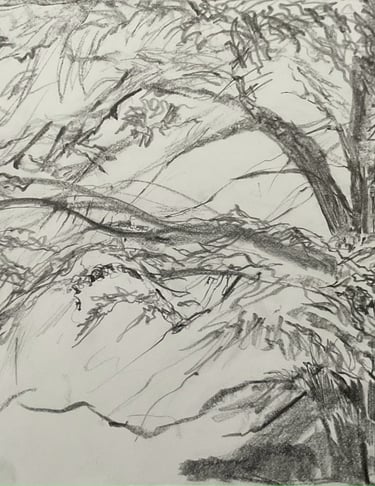 Dumfries House Residency - through the trees