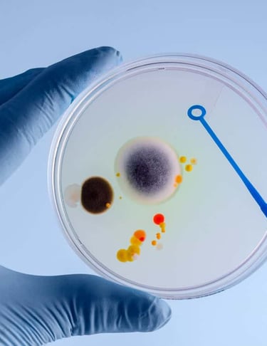 Análisis RAM - plantas de agua purificada - Recuento de Organismos Aerobios Mesofilos