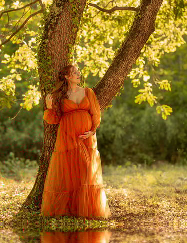 séance grossesse extérieur toulouse