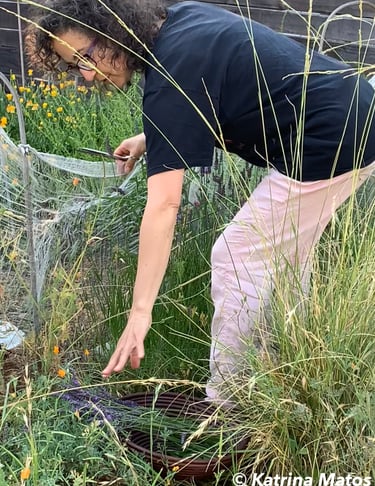 Katrina in the garden with hand outstretched towards a plant