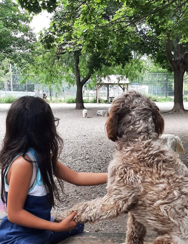little girl holding a dog paws at the park