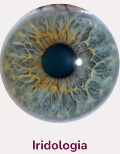 iridologia