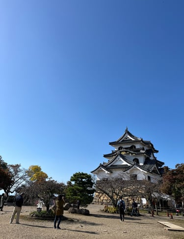 Hikone Castle