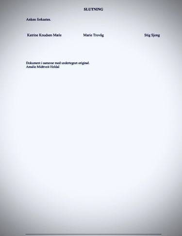 domstolens avgjørelse sak Zainab Abdulkarim Ali, Zainab Art, Oslo politidistrikt Korrupsjon