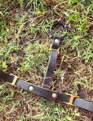 avis cliente garde-fou acolytes sellier