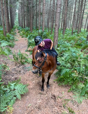 avis cliente garde-fou acolytes sellier