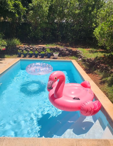 photo-piscine-avis-stephan