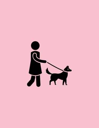 Half-Day or Full-Day Walk 