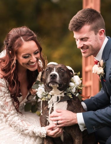 a bride and groom pose with their dog for a photo