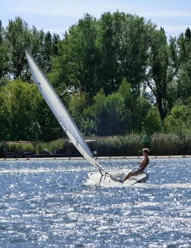 Boote auf der Donau III