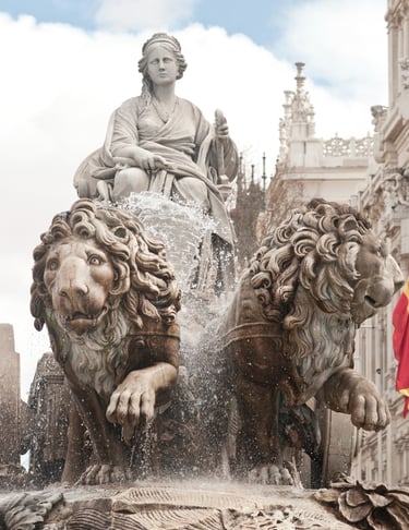 Abogados de Madrid especialistas en recursos de amparo madrid