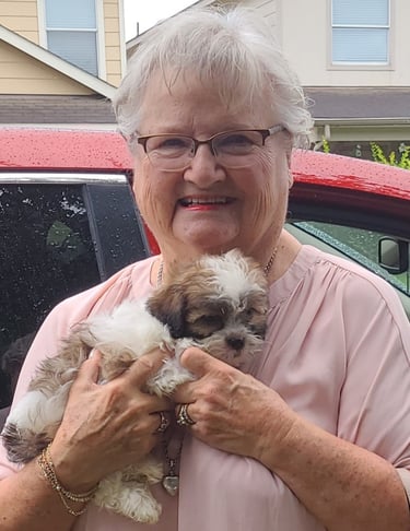 Perfect Paw Pups MalShi Family Adoption