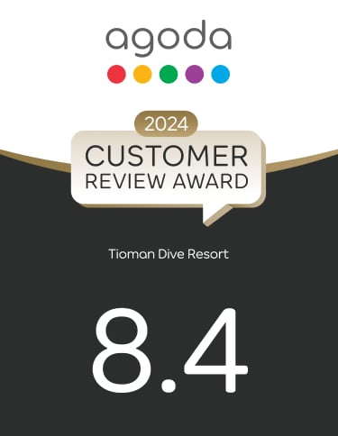 Agoda customer review award