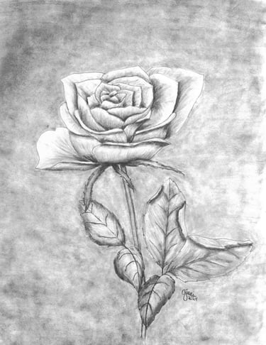 a rose drawing