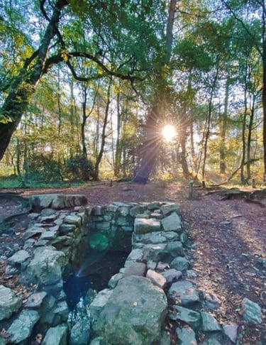 fontaine de barenton dans la forêt de Brocéliande