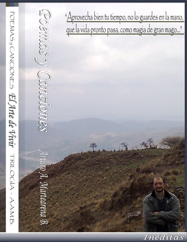 Imagen de Fondo: Tapa del Libro "El Arte de Vivir" del Escritor Arturo A. Martearena