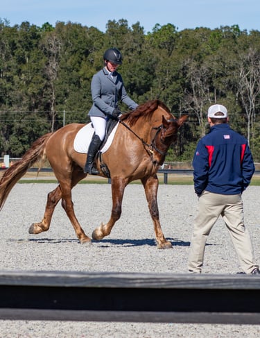 Equestrian rider in formal attire guiding a chestnut horse during a dressage training session, with 