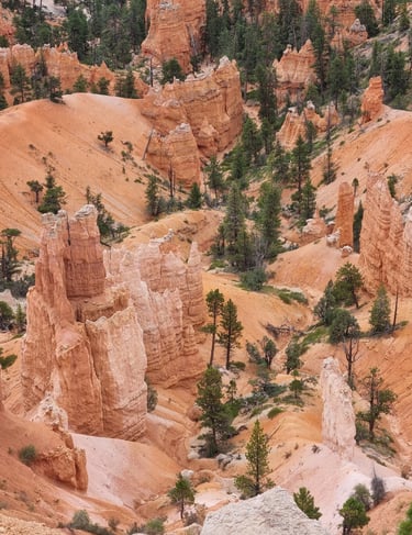 bryce canyon decouverte magnifique point de vue