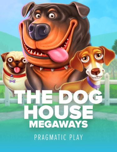 Gana 12,305 en The Dog House Megaways: estrategia con comodines extra