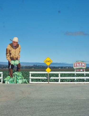 route 66 usa rien autour