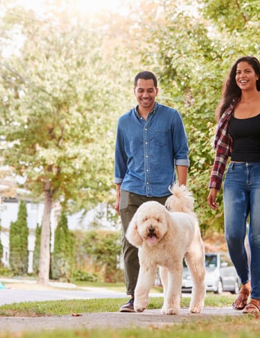 A couple walking outside with their dog feeling relaxed and at ease.