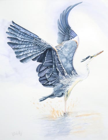 Making a Splash, Heron Elevating, Original Artwork