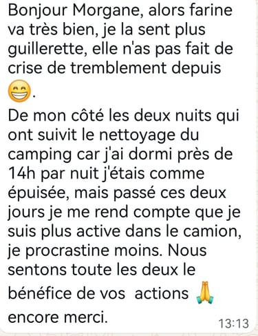 Témoignage d'un nettoyage énergétiqque de camping-car Morgane Reliance