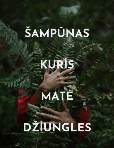 hidrolatas odos plauku sampunas sausas naturalus aliejus plaukai spf skin kosmetika naturali