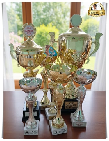 Winning MEDALS in Sleepysong Kennel. Number one winning dogs in Serbia.