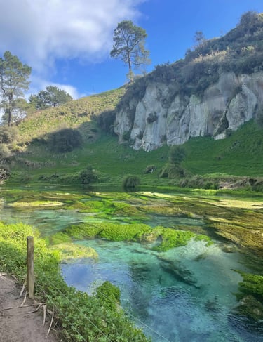 Las Blue Springs en un día soleado