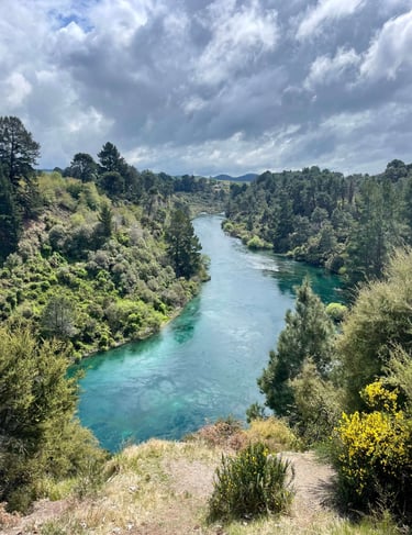 Vistas del rio Waikato desde Spa Thermal Park