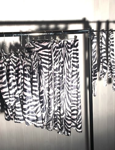 Zebra print costumes including shirts, leggings and ears hanging on a garment rack.