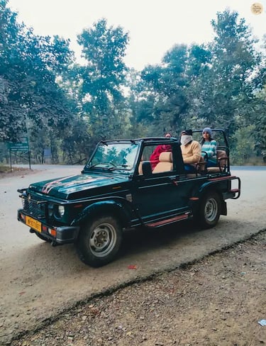 open safari gypsy ready for an early morning wildlife adventure in forests of Panna Tiger Reserve