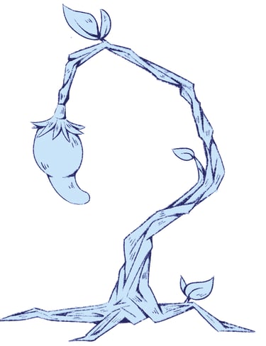 Carte haricot magique