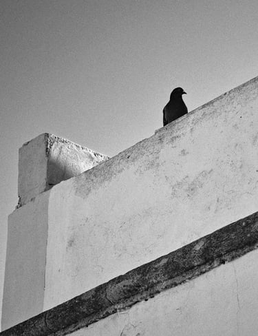 © juergen mack photography - moments