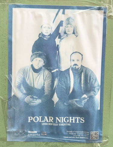 polar night flock theatre